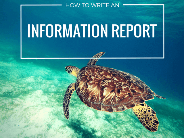 Read our complete guide to writing an information report  here.