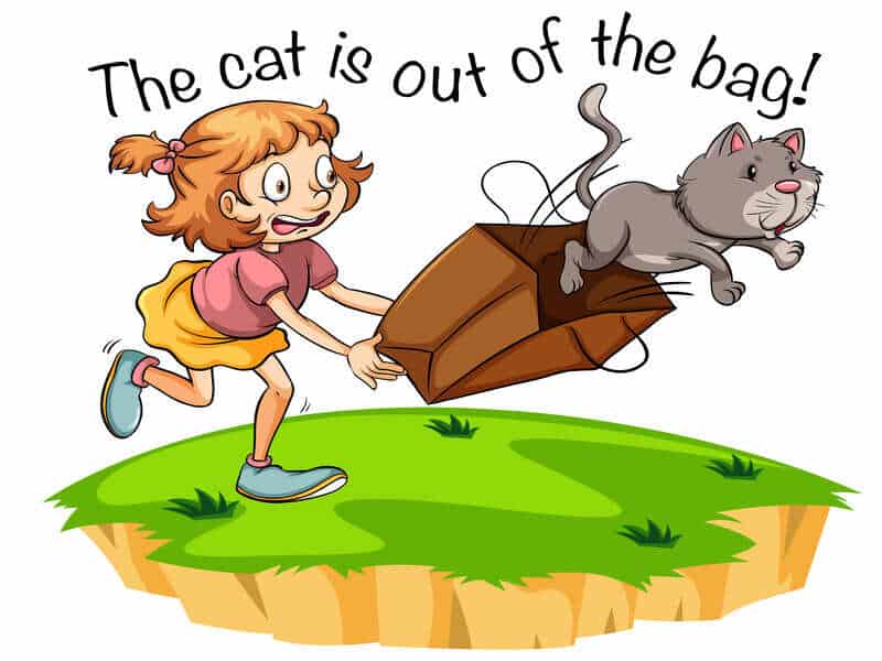 figurative language | idiom cat is out of the bag 1 | Figurative Language for Students and Teachers | literacyideas.com